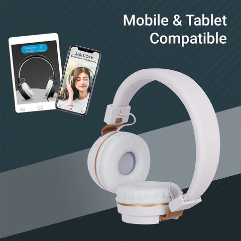 Zebronics H- ZEBRONICS HEADPHONE WITH MIC (STORM)