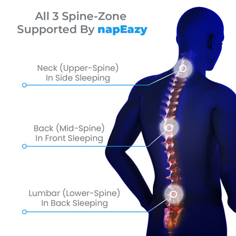 napEazy Travel pillow supports all the 3 spine zones